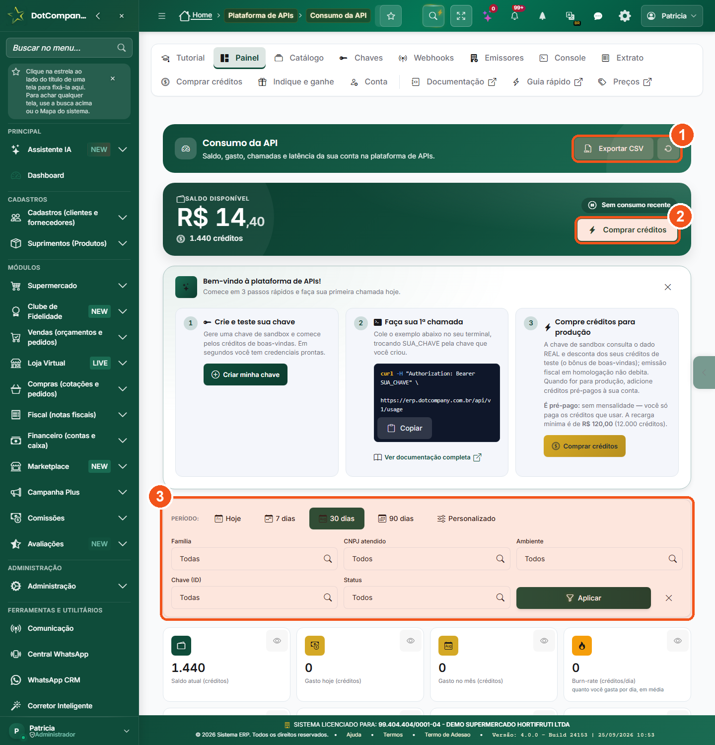 Painel Consumo da API: saldo disponivel, KPIs (gasto, burn-rate, chamadas, latencia p50/p95/p99, taxa de sucesso/erro), filtros e graficos.