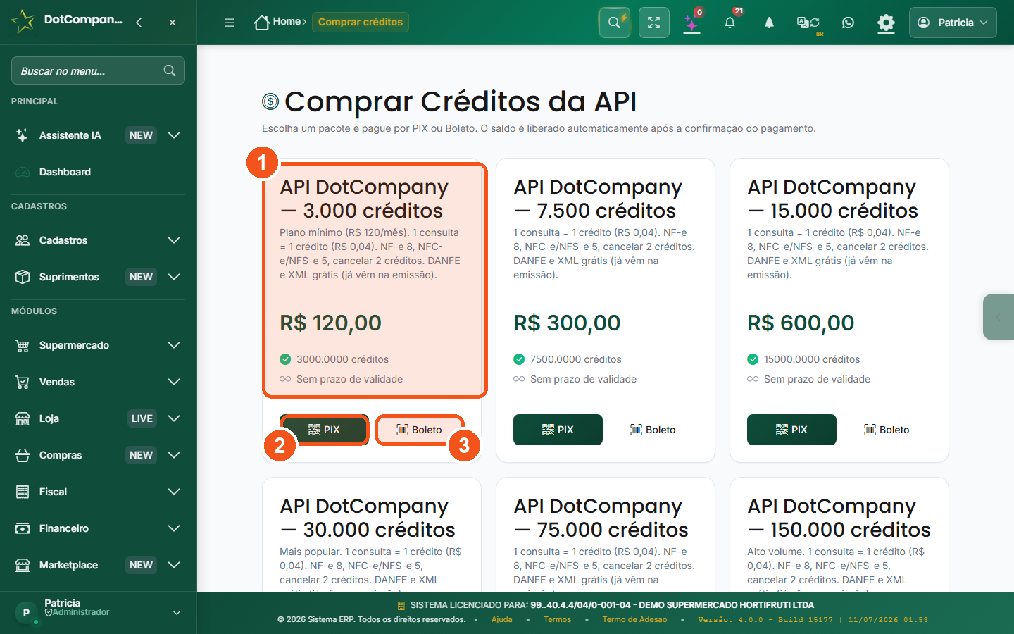 Loja Comprar Creditos da API: 7 pacotes de 3.000 a 300.000 creditos, pagamento por PIX ou Boleto.