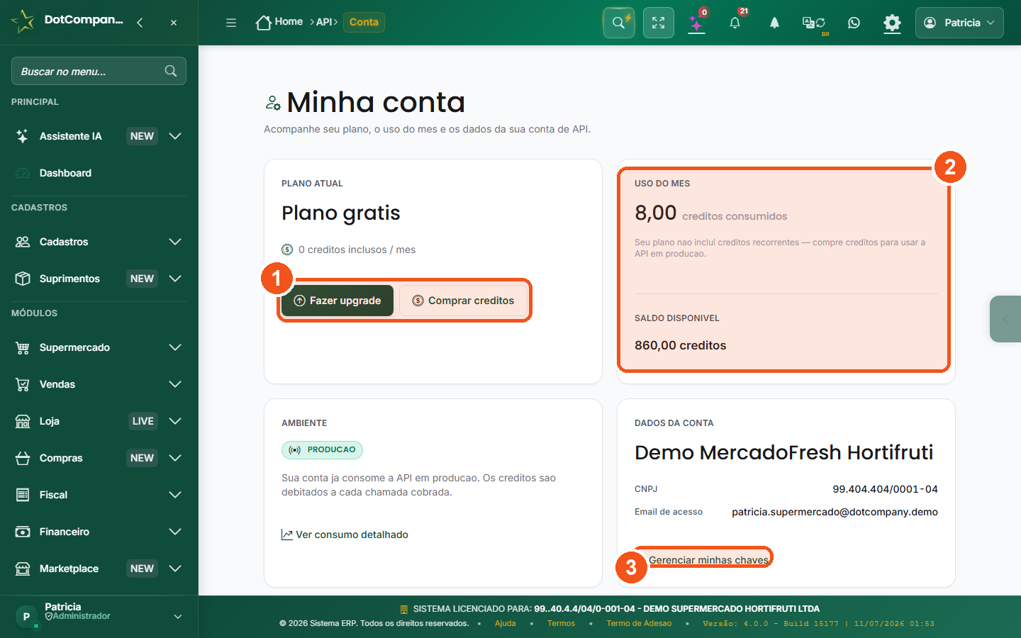 Tela Minha conta: plano atual, uso do mes, saldo disponivel, ambiente e dados da conta de API.
