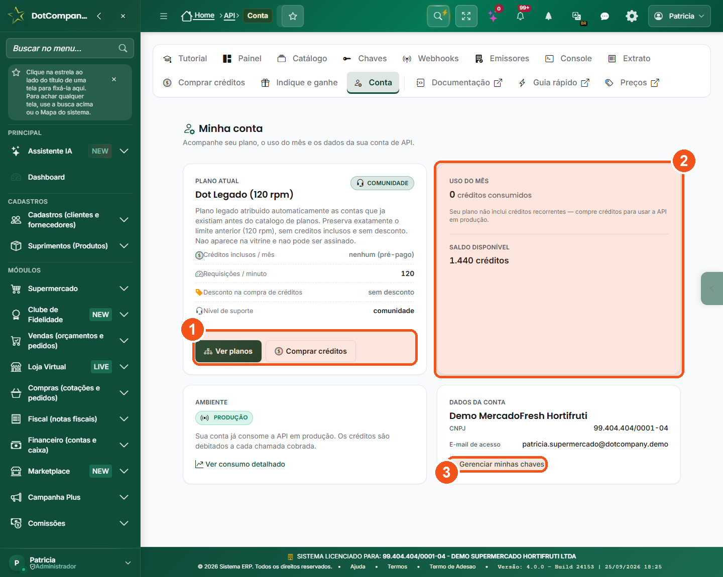 Tela Minha conta: plano atual, uso do mes, saldo disponivel, ambiente e dados da conta de API.