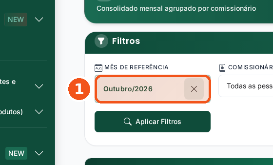 Clique no campo Mês de Referência.