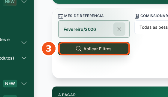 Clique em Aplicar Filtros.