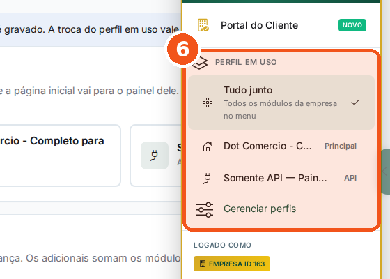Clique no seu nome e veja Perfil em uso.