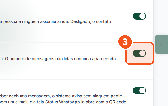 Clique na chave de uma opção para ligar ou desligar.